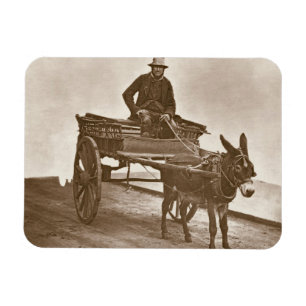 Black Jack, from 'Street Life in London', 1877-78 Magnet
