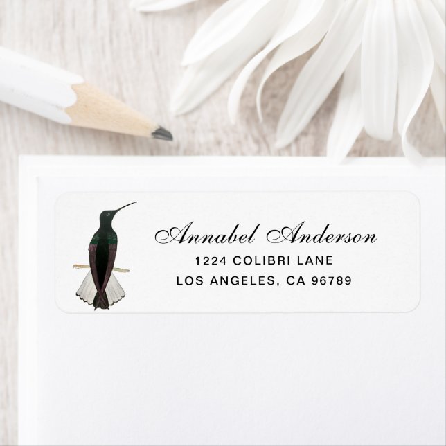 Black Jacobin Hummingbird Return Address Label (Insitu)