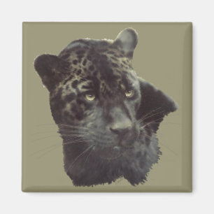 Black Jaguar Magnet