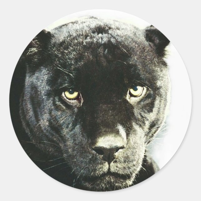 Black Jaguar Panther Classic Round Sticker (Front)