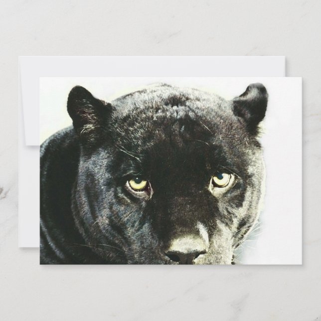 Black Jaguar Panther Eyes Invitation (Front)