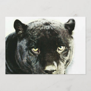 Black Jaguar Panther Eyes Invitation