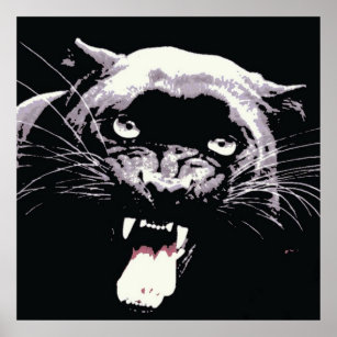 Black Jaguar Panther Poster