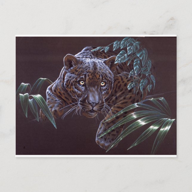 Black Jaguar Postcard (Front)