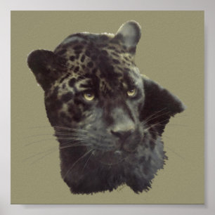 Black Jaguar Poster