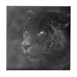 Black Jaguars Emerald Gaze Ceramic Tile