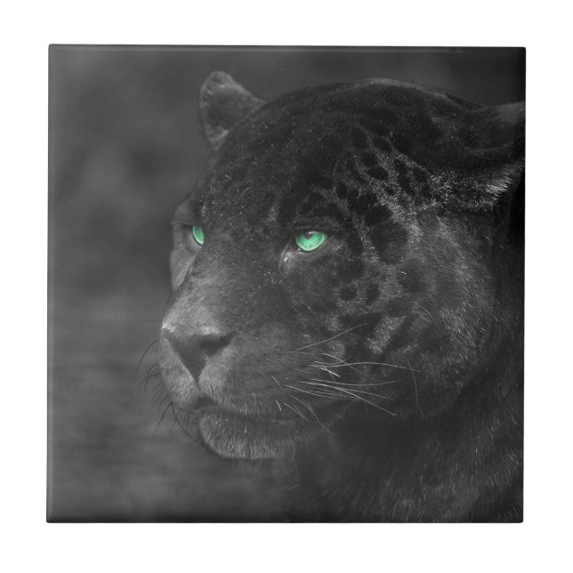 Black Jaguars Emerald Gaze Ceramic Tile (Front)