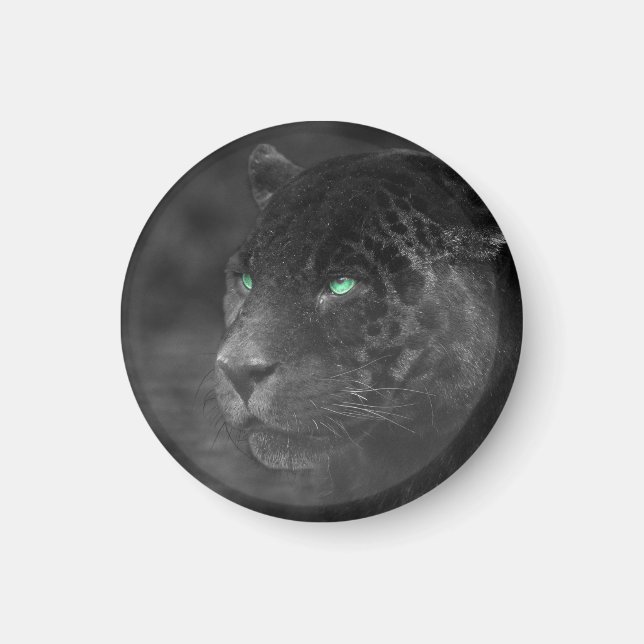 Black Jaguars Emerald Gaze Magnet (Front)