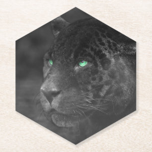 Black Jaguars Emerald Gaze Paper Coaster