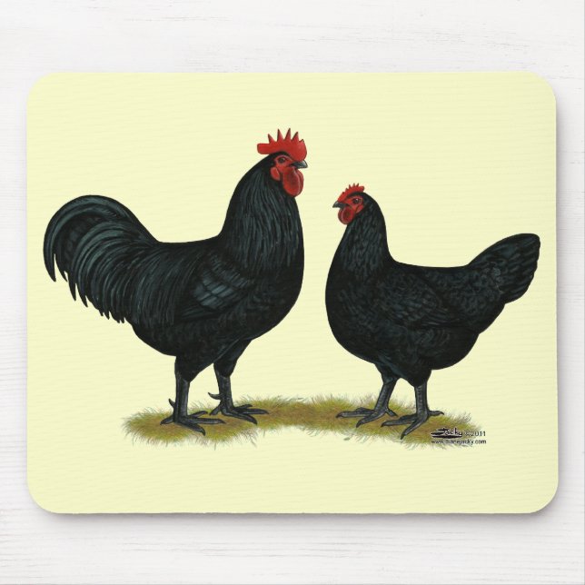 Black Java Chickens Mouse Pad (Front)