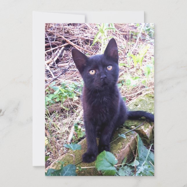 Black Kitten Card (Front)