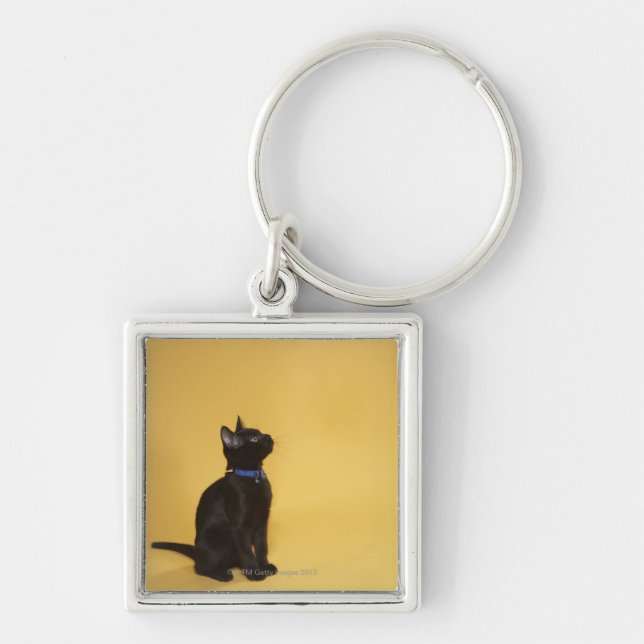 Black kitten in collar key ring (Front)