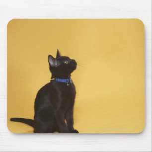 Black kitten in collar mouse pad