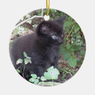 Black kitten ornament