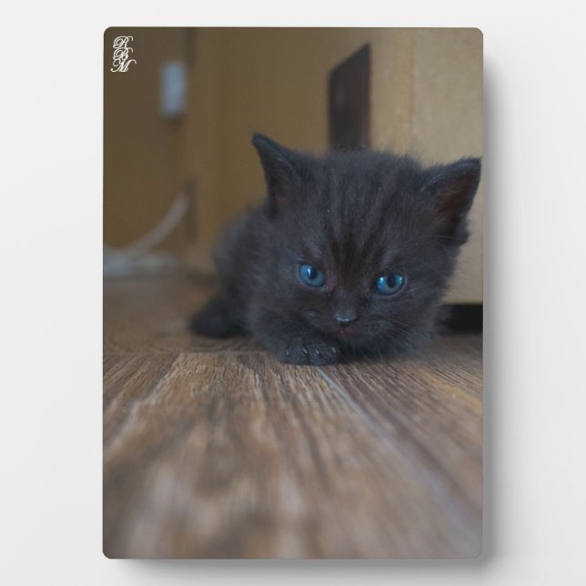 Black Kitten Plaque (Front)