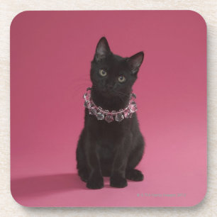 Black kitten wearing jewelled necklace coaster