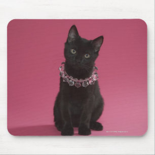 Black kitten wearing jewelled necklace mouse pad