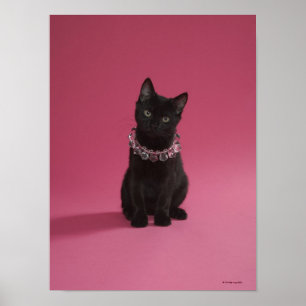 Black kitten wearing jewelled necklace poster