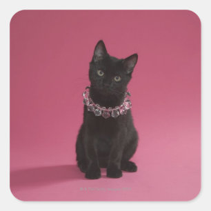 Black kitten wearing jewelled necklace square sticker