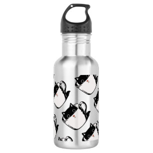Black kitten with red nose hiding in a cup 532 ml water bottle