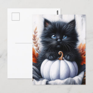 Black Kitten with White Pumpkin Halloween Postcard