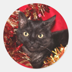 Black kitty cat Christmas Classic Round Sticker
