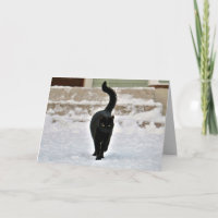 Black Kitty Cat Cute Customisable Card