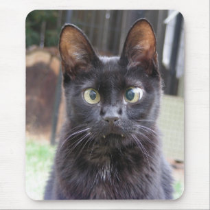 Black Kitty Cat Mouse Pad
