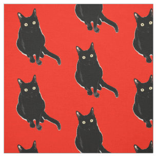 Black Kitty Cat Photography Fabric