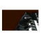 Black kitty cat play the organ