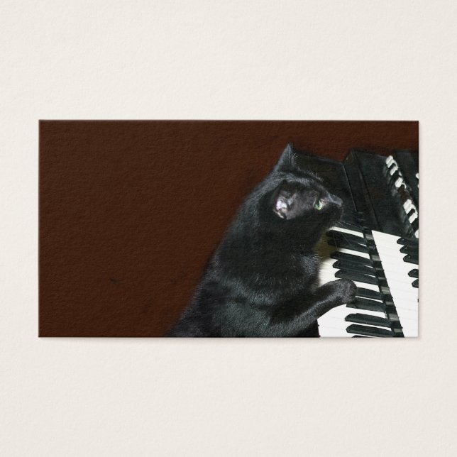 Black kitty cat play the organ (Front)
