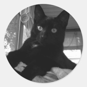 Black Kitty Classic Round Sticker