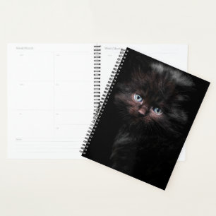 Black Kitty Planner