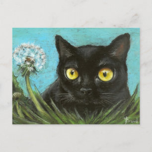 Black kitty postcard