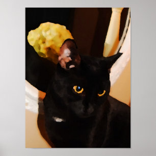 Black Kitty Poster
