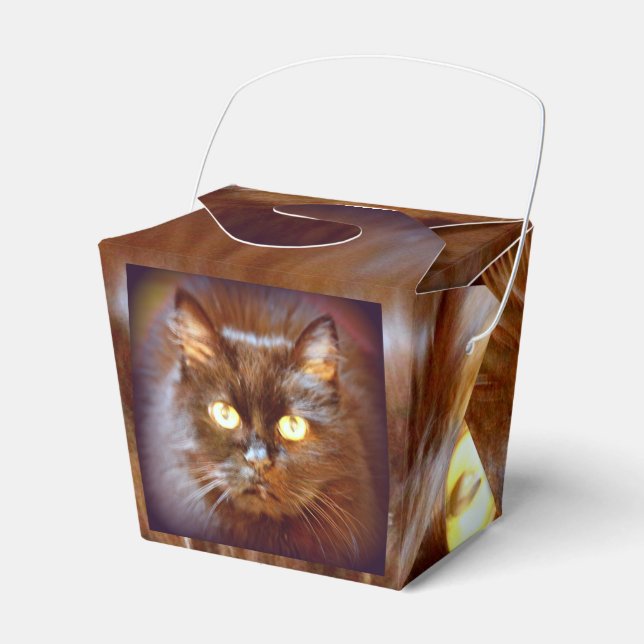 black kittycat favour box (Front Side)