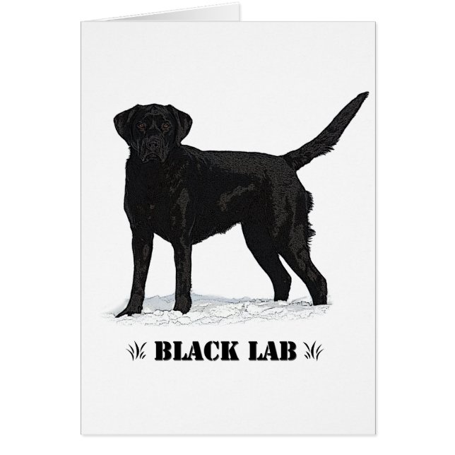 Black Lab (Front)