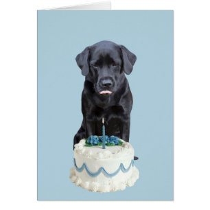 Black Lab All Occasion Card - Dog Cake Birthday