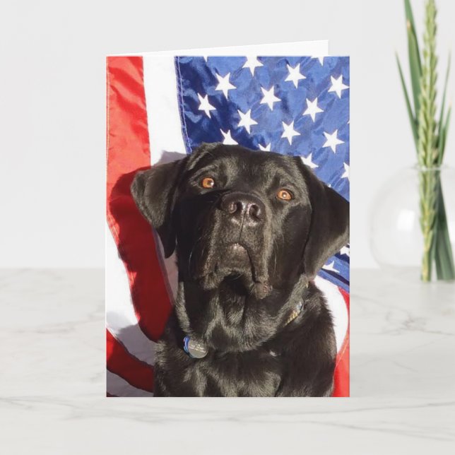Black Lab and Flag Greeting Card (Front)