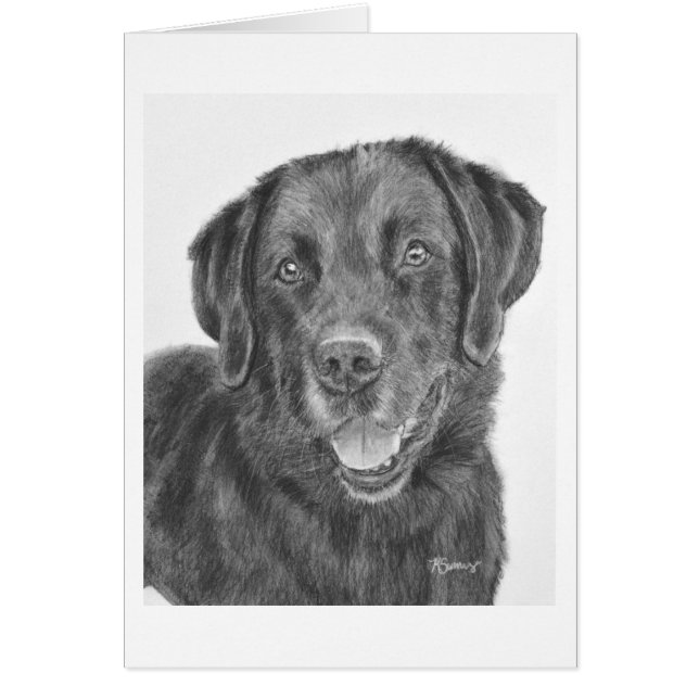Black Lab Bandit (Front)