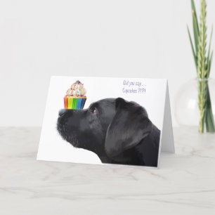 Black Lab Birthday Card - Dog Birthday
