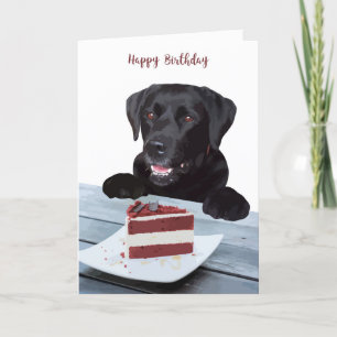 Black Lab Birthday Card - Dog Birthday Card