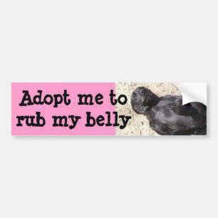 Black Lab Bumper Sticker
