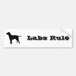 Black Lab Bumper Sticker 1
