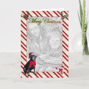 Black Lab Candy Cane Template Card