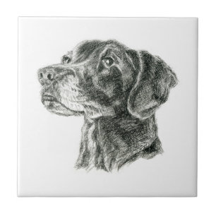 Black Lab Ceramic Tile