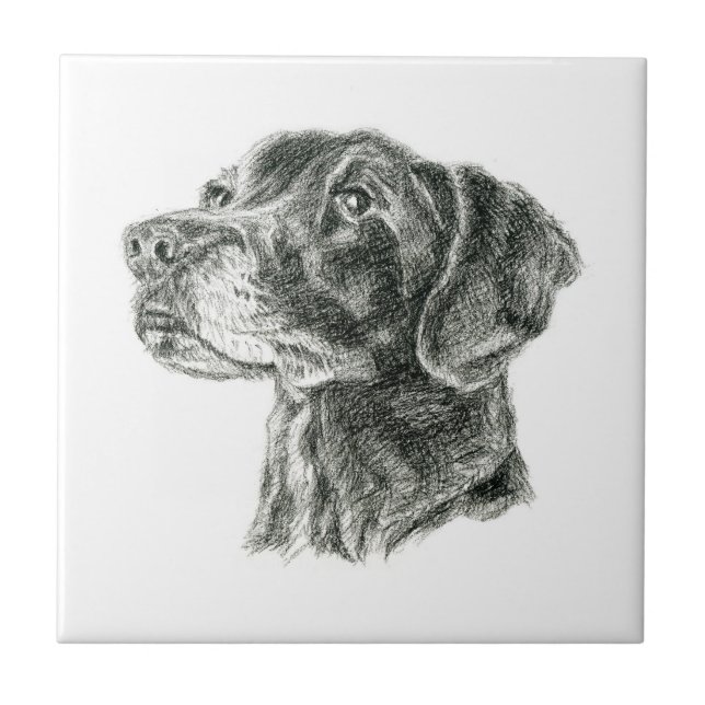 Black Lab Ceramic Tile (Front)