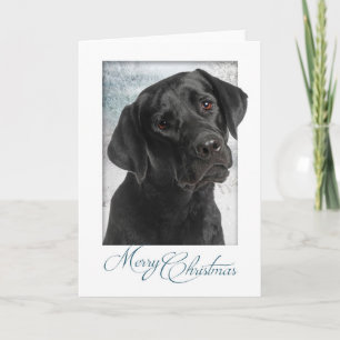 Black Lab Christmas Card