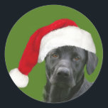 Black lab Christmas Classic Round Sticker<br><div class="desc">Black Labrador Retriever in a Santa hat photo Christmas sticker</div>