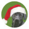 Black lab Christmas